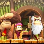 Donkey Kong Country Tropical Freeze Switch